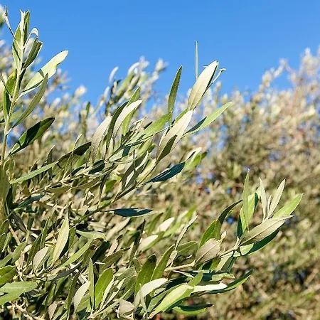 Hera Kyrenia Bb Vendégház Ozanköy